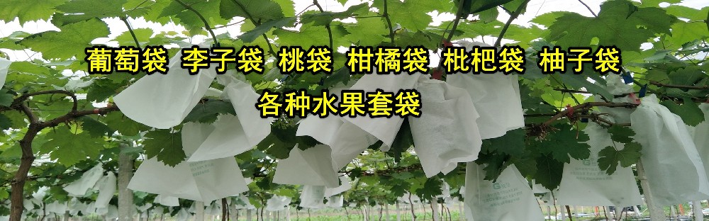 广西农膜厂家