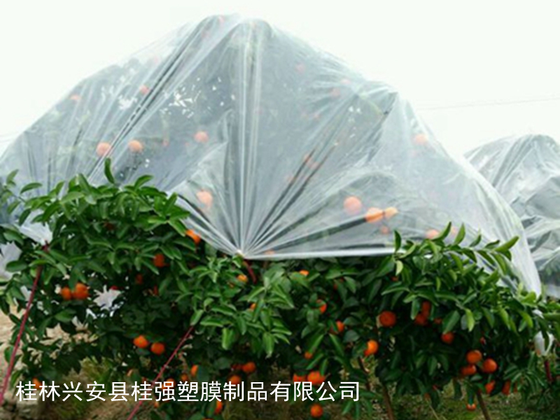 金桔专用膜